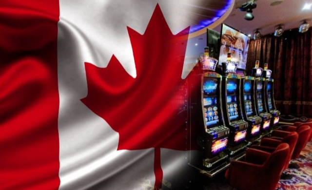 Regulated Sportsbooks in Canada – What You Need to Know?